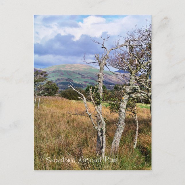 POSTAL VISTAS DE GALES (Anverso)