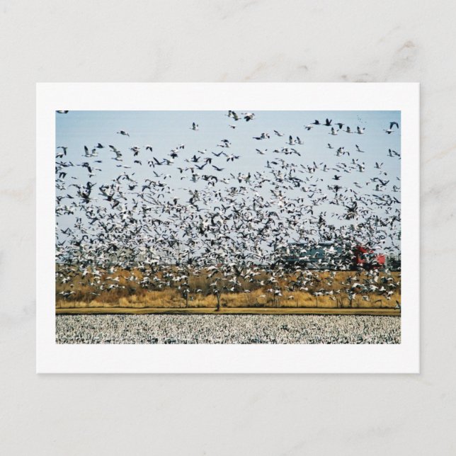 POSTAL VISTAS DE NEBRASKA (Anverso)