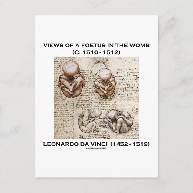 Postal Vistas De Un Feto En El Vientre (Leonardo da Vinci (Anverso)