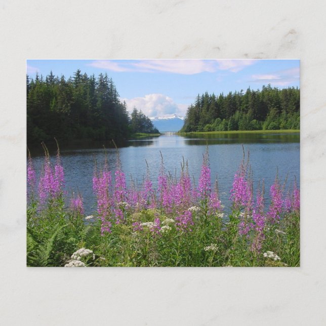 Postal Vistas incendiarias de Amalga (Anverso)