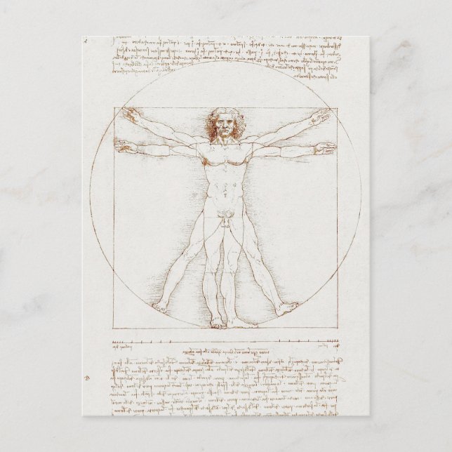Postal Vitruvian Man Da Vinci (Anverso)