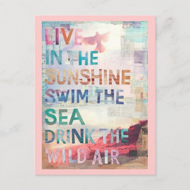 Postal Viva en la sol (Anverso)