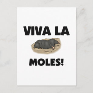 Postal Viva La Moles