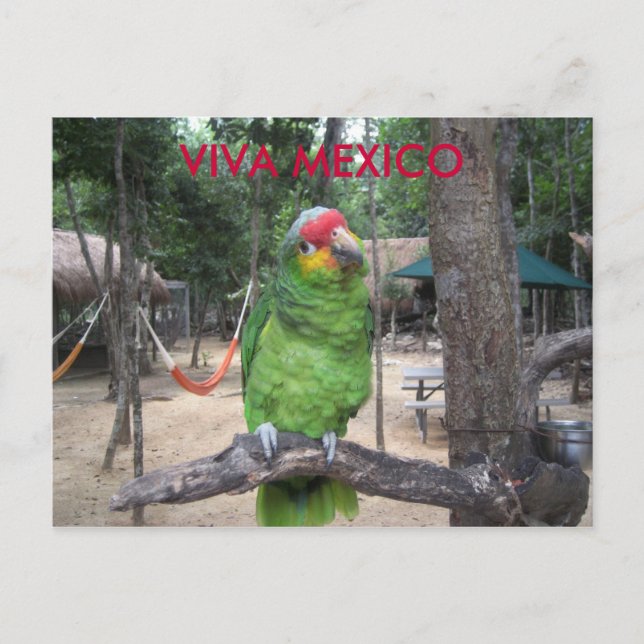 Postal Viva México (Anverso)