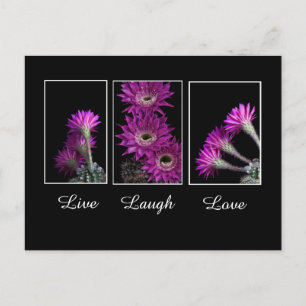 Postal Viva, ríe, ama trío de flores de Cactus