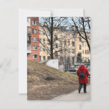 Vive San Petersburgo - 3