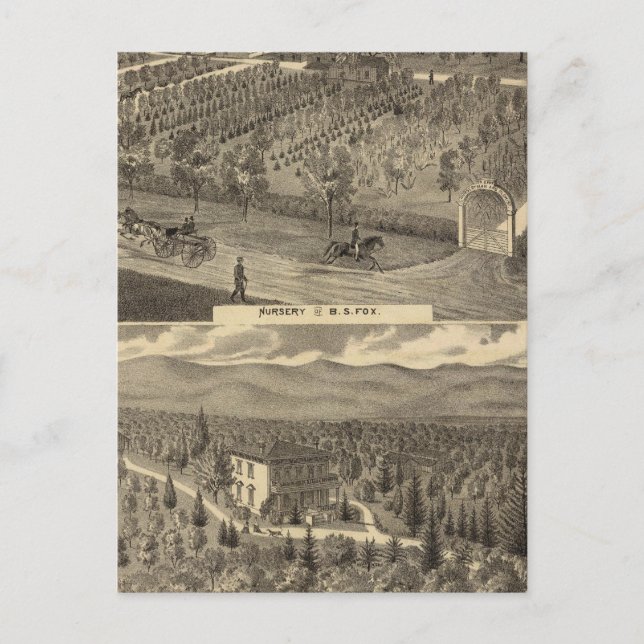 Postal vivero de Fox, res, huerto (Anverso)