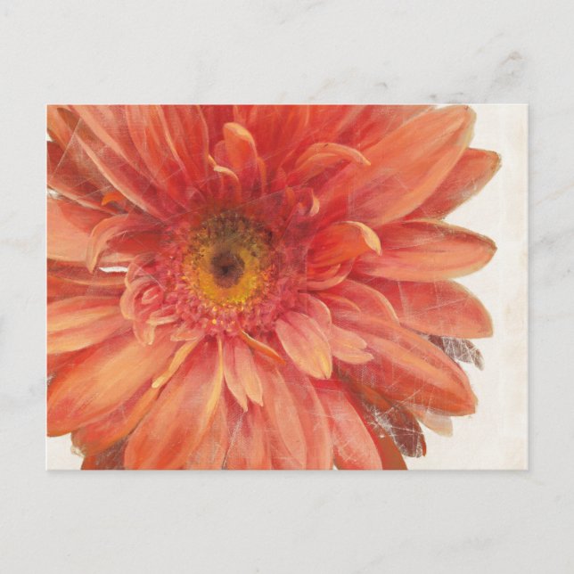 Postal Vivid Daisy (Anverso)