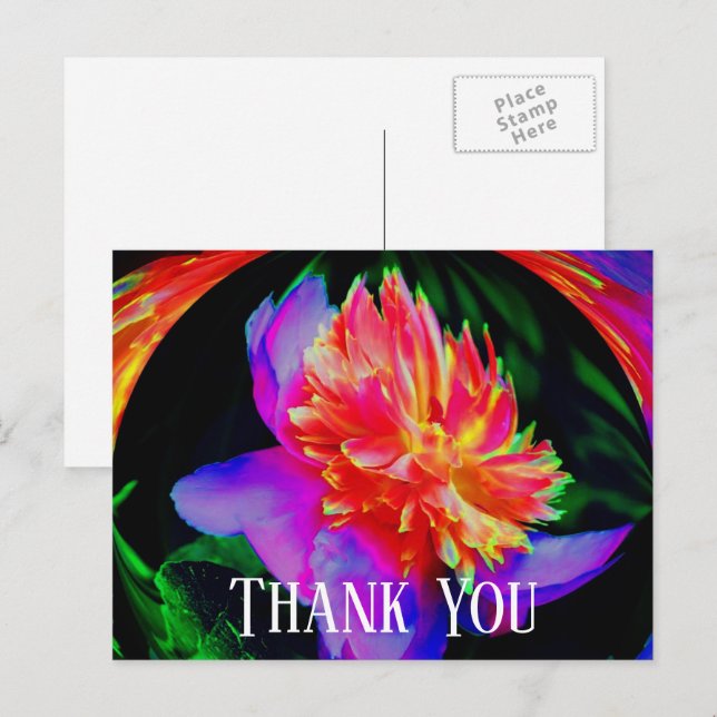 Postal Vivid Peony Abstract Floral Gracias Postcard (Anverso / Reverso)