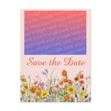 Vívidas Flores Silvestres