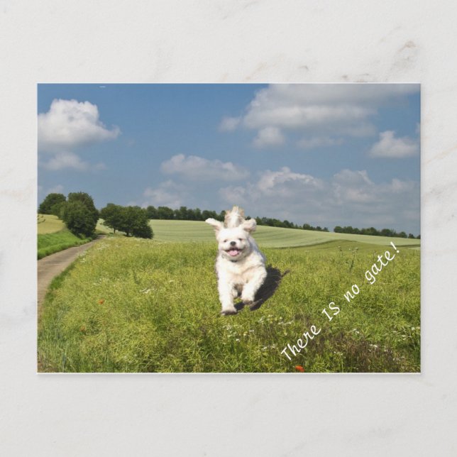 Postal "Vivir como..." ¡Postcard Buddhist (Matrix) Versio (Anverso)
