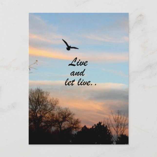 Postal Vivir y dejar vivir (Anverso)