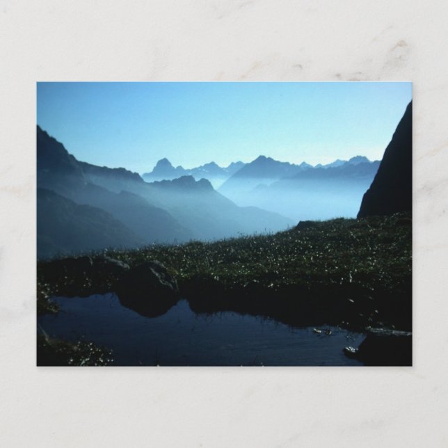 POSTAL VIVO MI VIDA (Anverso)