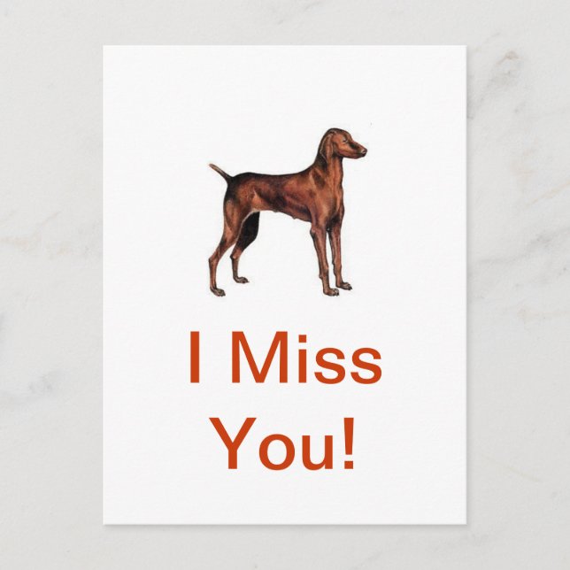 Postal Vizsla (Anverso)