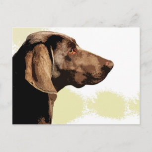 Postal Vizsla