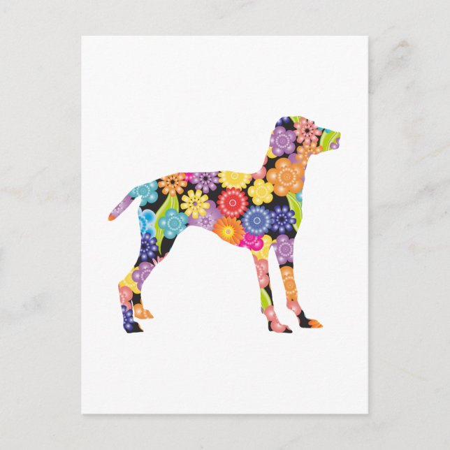 Postal Vizsla (Anverso)