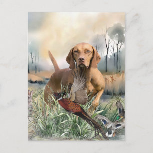 Postal Vizsla, Arte