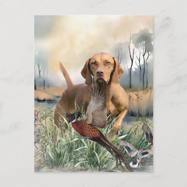 Postal Vizsla, Arte (Anverso)