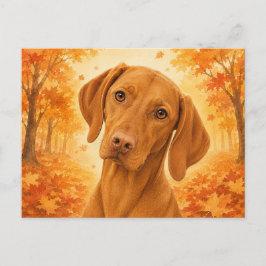 Postal Vizsla Bosque Otoñal Perro