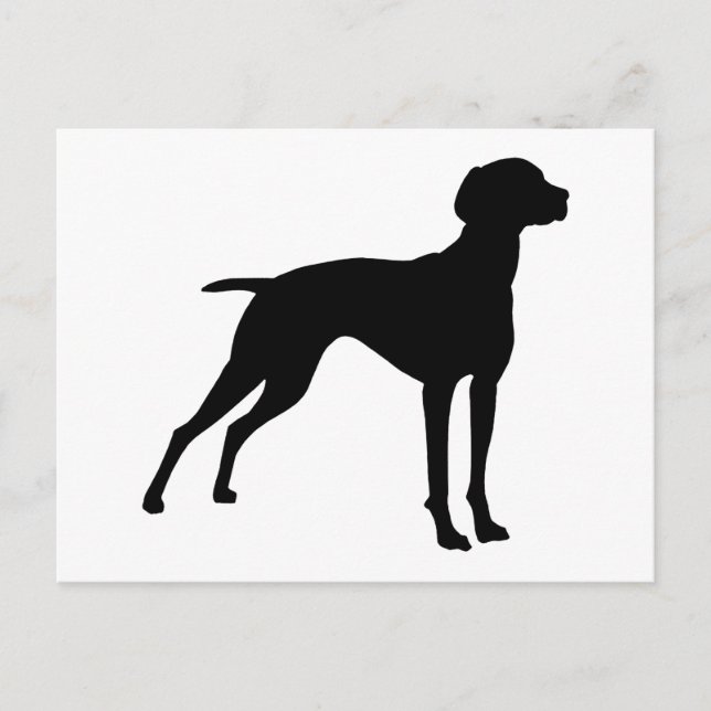 Postal Vizsla Dog Silhouette (negro) (Anverso)