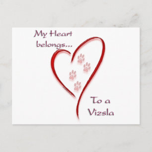 Postal Vizsla Heart Pertenece