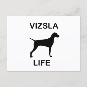Postal vizsla life