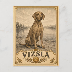 Postal Vizsla, perro vintage de herencia