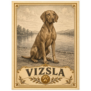 Postal Vizsla, perro vintage de herencia