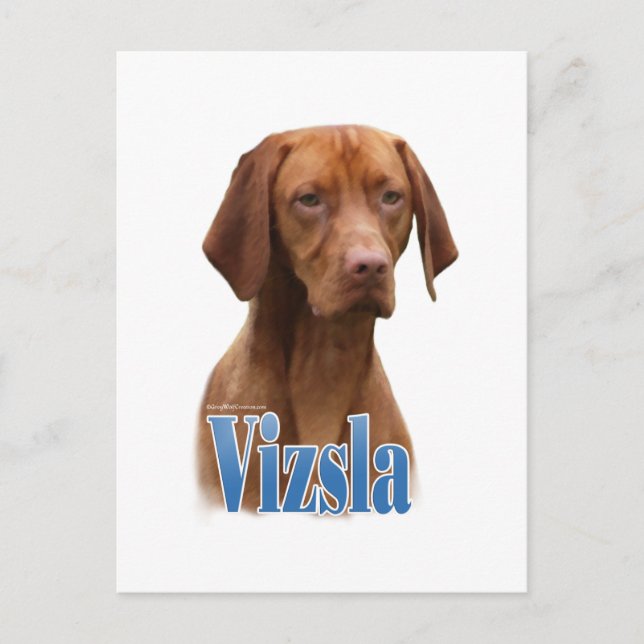 Postal Vizsla; Raza de perro de Vizsla; Perro de Vizsla;  (Anverso)