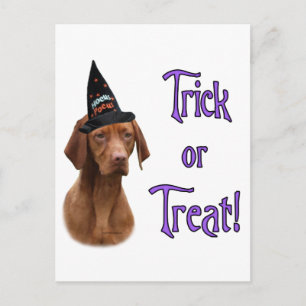 Postal Vizsla Trick