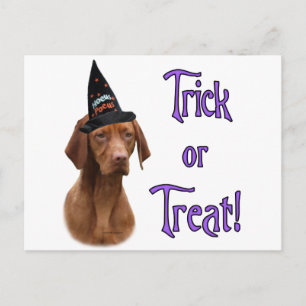 Postal Vizsla Trick