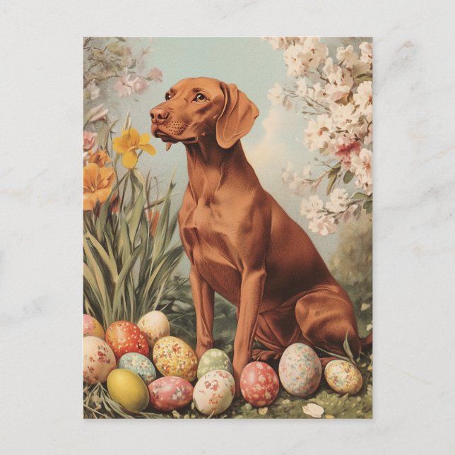 Postal Vizsla Vintage Easter (Anverso)