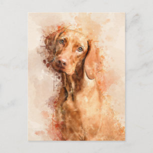 Postal Vizsla Watercolor