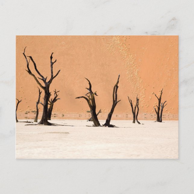 Postal Vlei muerto, Namibia (Anverso)