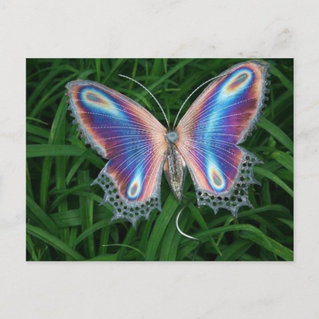 Postal vlinder (Anverso)