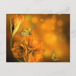 Postal vlinders oranje