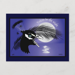 Postal Voces en la noche Postkarte