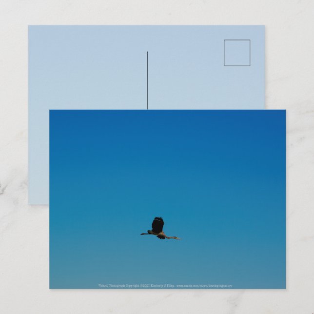 Postal Volante (Anverso / Reverso)