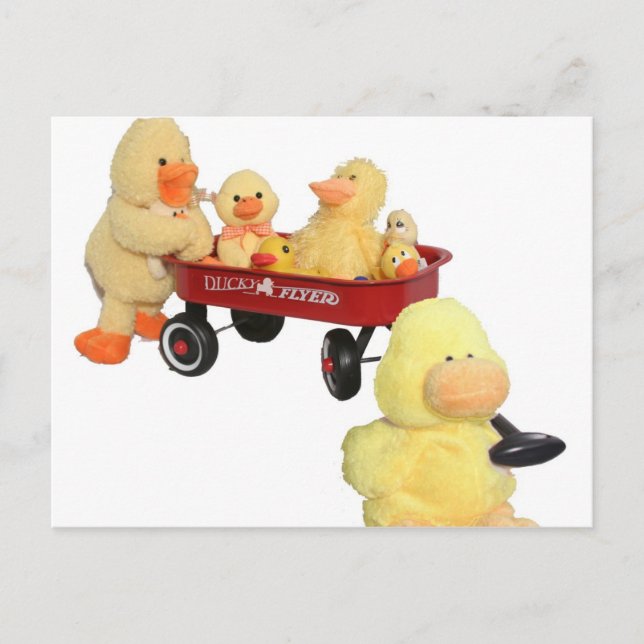 Postal Volante de Ducky (Anverso)