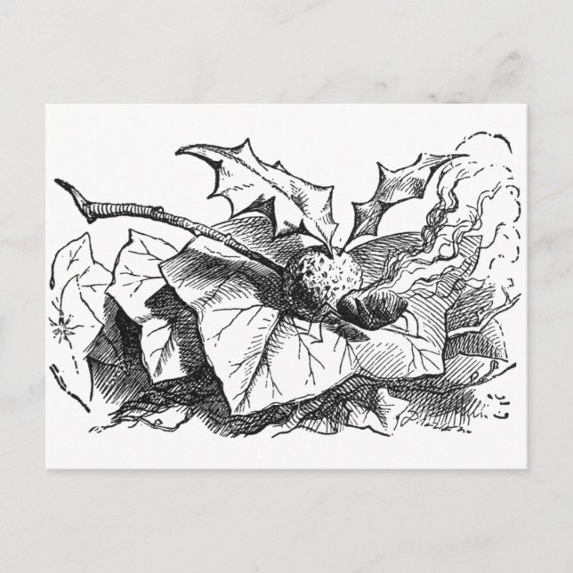 Postal Volante Dragon (Anverso)