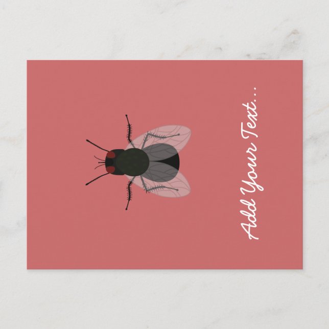 Postal Volar (Anverso)