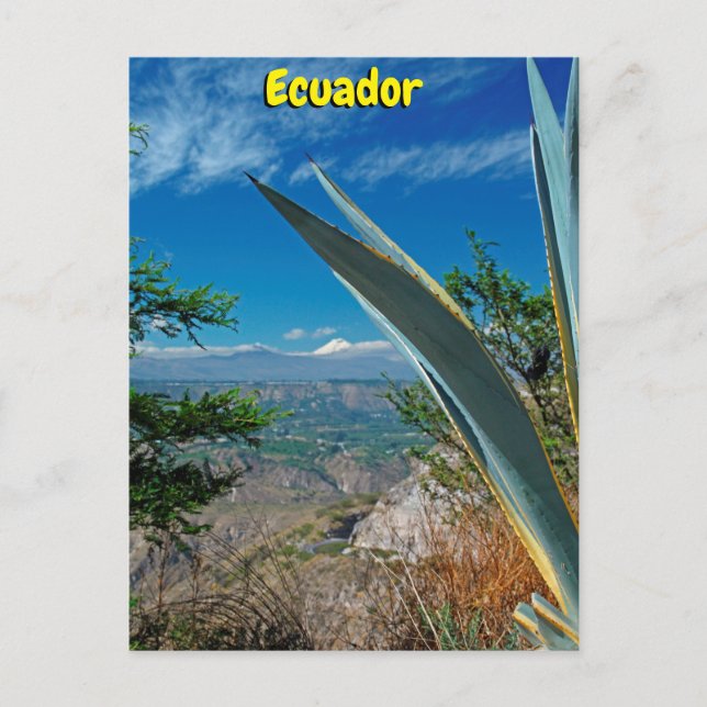 Postal Volcán Cotopaxi, Ecuador (Anverso)