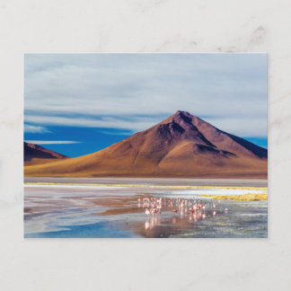 Postal Volcán y flamencos