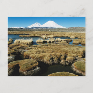Postal Volcanes Payachalas
