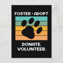 Voluntario de Bienestar Animal