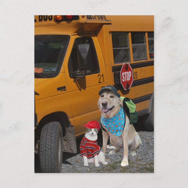 Postal Volver a la escuela (Anverso)