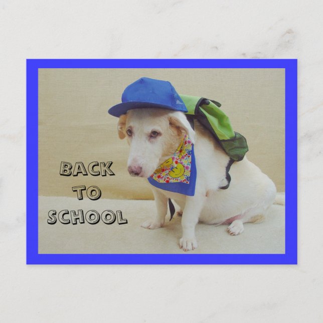 Postal Volver a la escuela (Anverso)