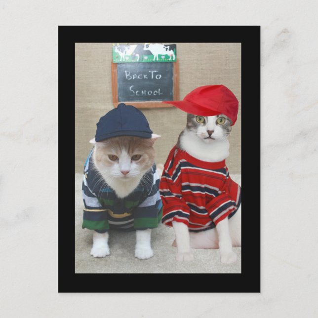 Postal Volver a la escuela (Anverso)