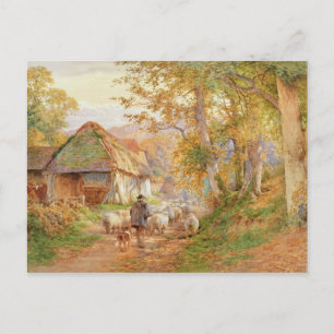 Postal Volver al plegado