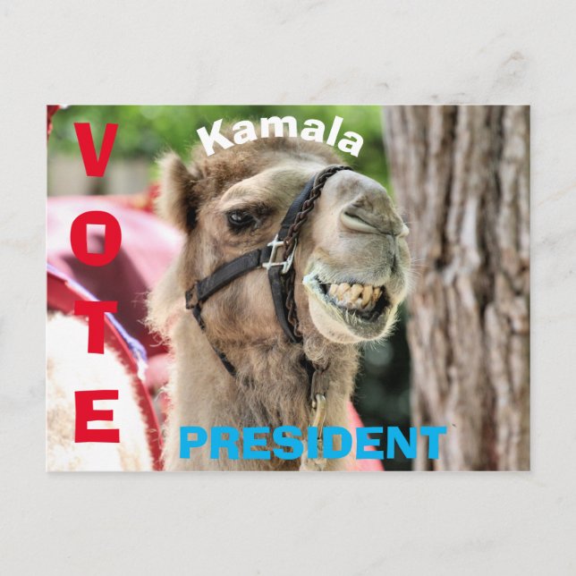 Postal Votación (Anverso)